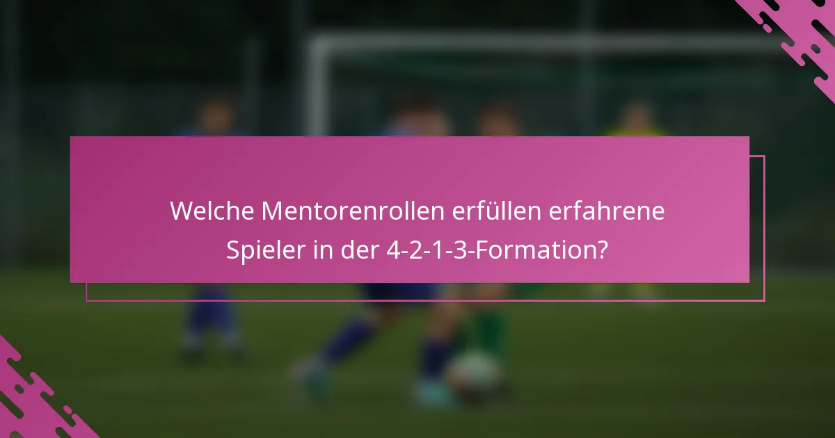 Welche Mentorenrollen erfüllen erfahrene Spieler in der 4-2-1-3-Formation?
